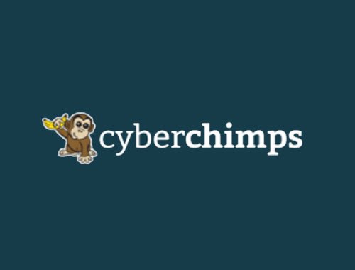 Cyberchimps Promo